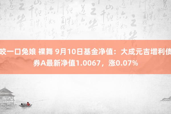 咬一口兔娘 裸舞 9月10日基金净值：大成元吉增利债券A最新净值1.0067，涨0.07%