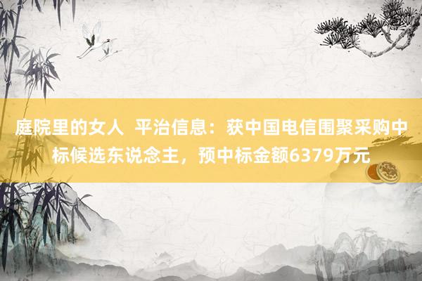 庭院里的女人  平治信息：获中国电信围聚采购中标候选东说念主，预中标金额6379万元