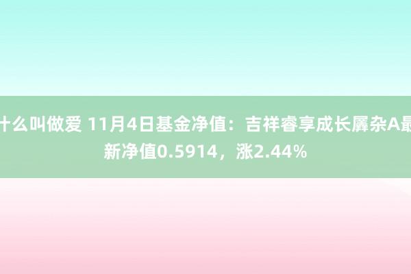 什么叫做爱 11月4日基金净值：吉祥睿享成长羼杂A最新净值0.5914，涨2.44%