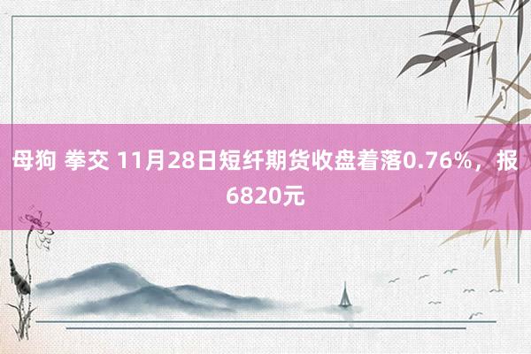 母狗 拳交 11月28日短纤期货收盘着落0.76%，报6820元