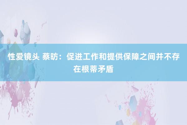 性爱镜头 蔡昉：促进工作和提供保障之间并不存在根蒂矛盾
