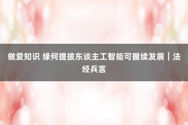 做爱知识 缘何提拔东谈主工智能可握续发展︱法经兵言