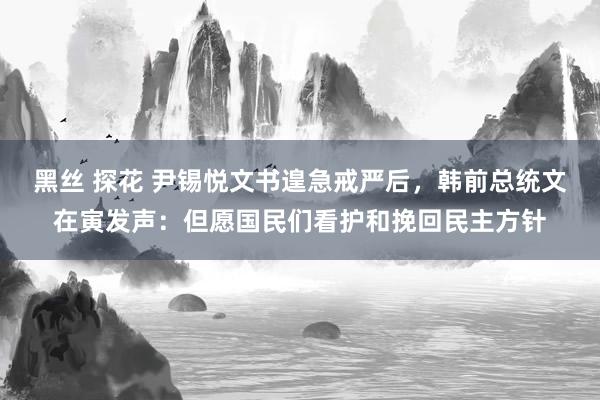 黑丝 探花 尹锡悦文书遑急戒严后，韩前总统文在寅发声：但愿国民们看护和挽回民主方针