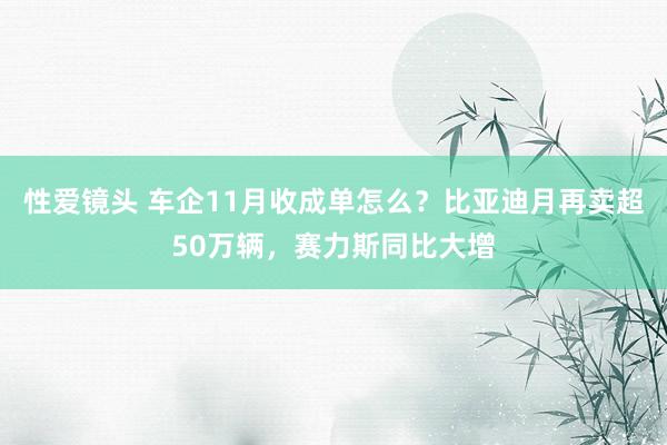 性爱镜头 车企11月收成单怎么？比亚迪月再卖超50万辆，赛力斯同比大增