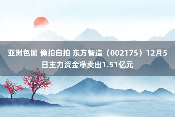 亚洲色图 偷拍自拍 东方智造（002175）12月5日主力资金净卖出1.51亿元