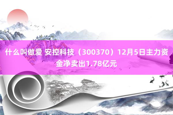 什么叫做爱 安控科技（300370）12月5日主力资金净卖出1.78亿元