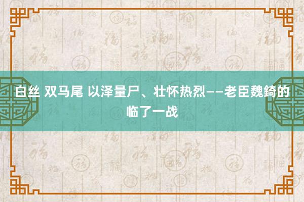 白丝 双马尾 以泽量尸、壮怀热烈——老臣魏錡的临了一战