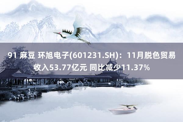 91 麻豆 环旭电子(601231.SH)：11月脱色贸易收入53.77亿元 同比减少11.37%
