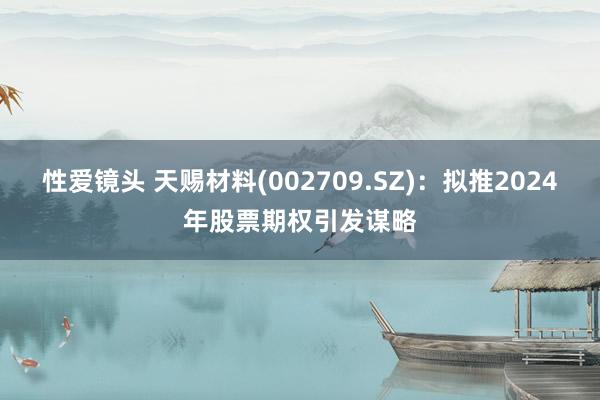 性爱镜头 天赐材料(002709.SZ)：拟推2024年股票期权引发谋略