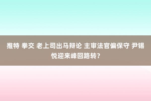 推特 拳交 老上司出马辩论 主审法官偏保守 尹锡悦迎来峰回路转？