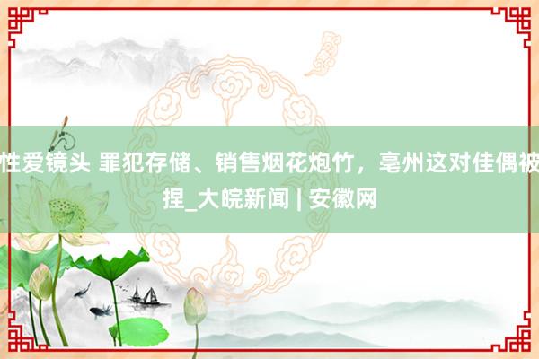 性爱镜头 罪犯存储、销售烟花炮竹，亳州这对佳偶被捏_大皖新闻 | 安徽网