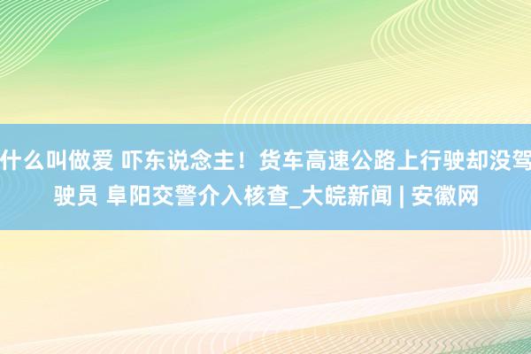 什么叫做爱 吓东说念主！货车高速公路上行驶却没驾驶员 阜阳交警介入核查_大皖新闻 | 安徽网