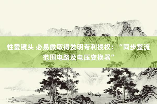 性爱镜头 必易微取得发明专利授权：“同步整流范围电路及电压变换器”