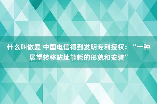 什么叫做爱 中国电信得到发明专利授权：“一种展望转移站址能耗的形貌和安装”