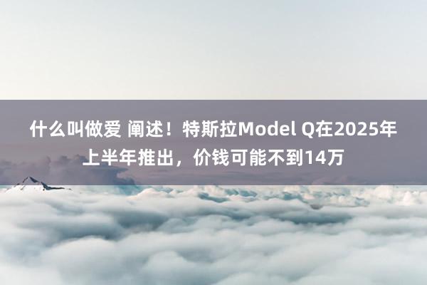 什么叫做爱 阐述！特斯拉Model Q在2025年上半年推出，价钱可能不到14万