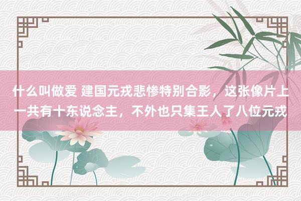 什么叫做爱 建国元戎悲惨特别合影，这张像片上一共有十东说念主，不外也只集王人了八位元戎