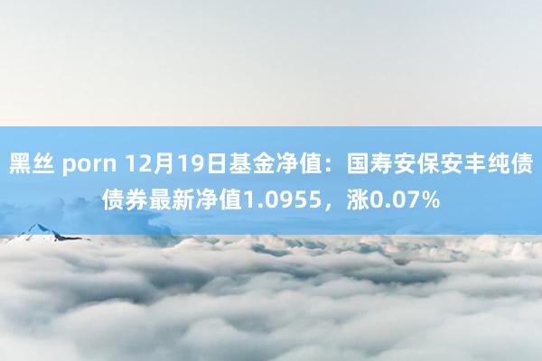 黑丝 porn 12月19日基金净值：国寿安保安丰纯债债券最新净值1.0955，涨0.07%