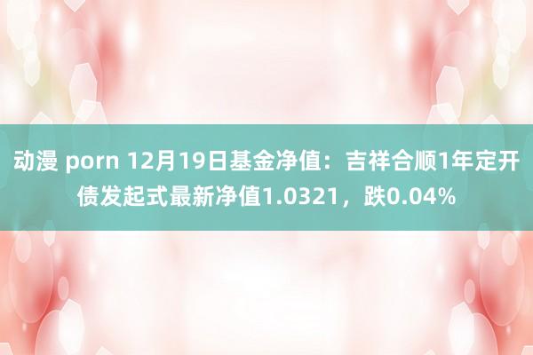动漫 porn 12月19日基金净值：吉祥合顺1年定开债发起式最新净值1.0321，跌0.04%