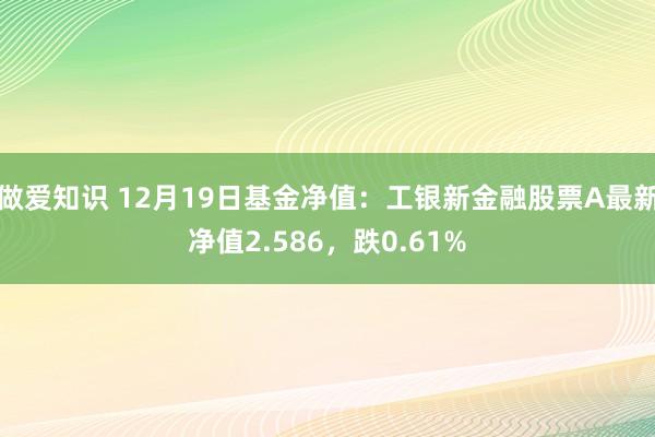 做爱知识 12月19日基金净值：工银新金融股票A最新净值2.586，跌0.61%