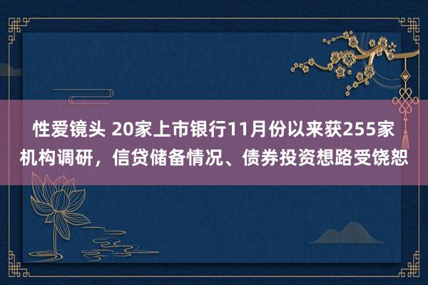 性爱镜头 20家上市银行11月份以来获255家机构调研，信贷储备情况、债券投资想路受饶恕
