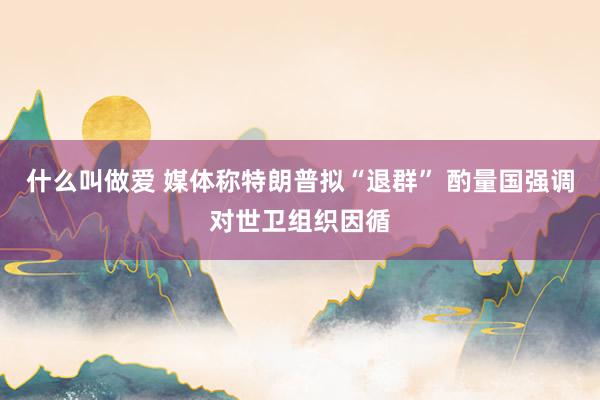 什么叫做爱 媒体称特朗普拟“退群” 酌量国强调对世卫组织因循