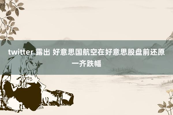 twitter 露出 好意思国航空在好意思股盘前还原一齐跌幅