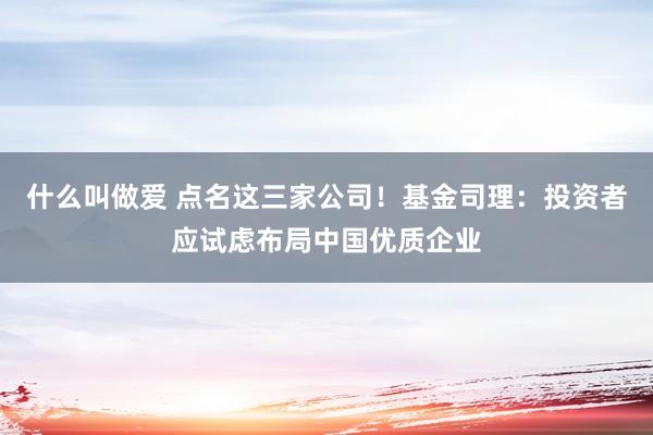 什么叫做爱 点名这三家公司！基金司理：投资者应试虑布局中国优质企业