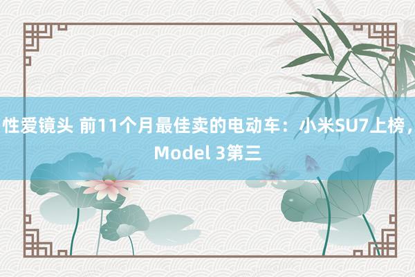 性爱镜头 前11个月最佳卖的电动车：小米SU7上榜，Model 3第三
