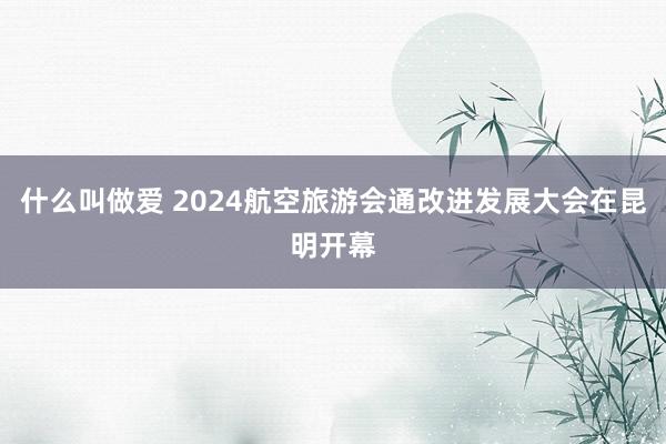 什么叫做爱 2024航空旅游会通改进发展大会在昆明开幕