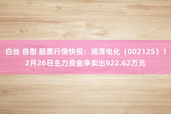 白丝 自慰 股票行情快报：湘潭电化（002125）12月26日主力资金净卖出922.62万元