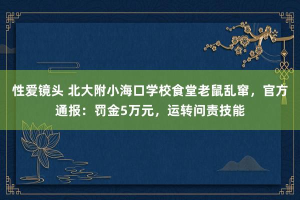 性爱镜头 北大附小海口学校食堂老鼠乱窜，官方通报：罚金5万元，运转问责技能
