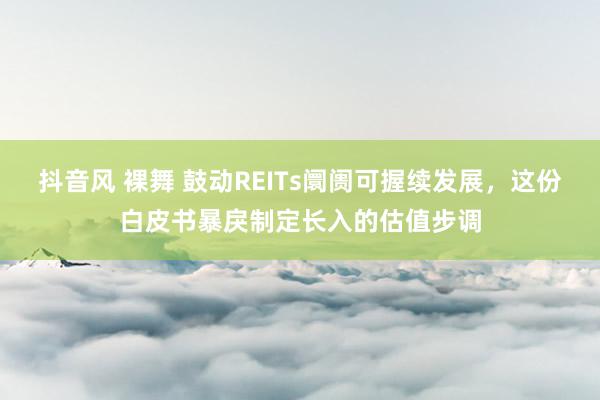 抖音风 裸舞 鼓动REITs阛阓可握续发展，这份白皮书暴戾制定长入的估值步调