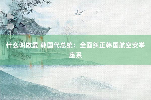 什么叫做爱 韩国代总统：全面纠正韩国航空安举座系
