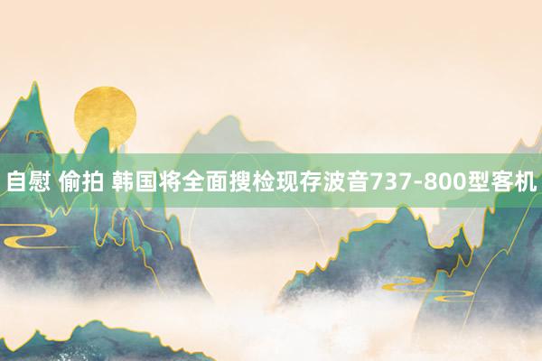 自慰 偷拍 韩国将全面搜检现存波音737-800型客机