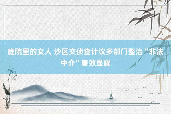 庭院里的女人 沙区交侦查计议多部门整治“非法中介”奏效显耀