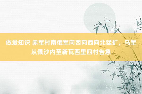 做爱知识 赤军村南俄军向西向西向北猛扩，乌军从佩沙内至新瓦西里四村告急