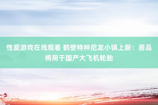 性爱游戏在线观看 鹤壁特种尼龙小镇上新：居品将用于国产大飞机轮胎