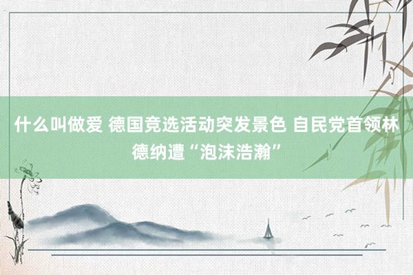 什么叫做爱 德国竞选活动突发景色 自民党首领林德纳遭“泡沫浩瀚”