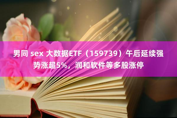男同 sex 大数据ETF（159739）午后延续强势涨超5%，润和软件等多股涨停