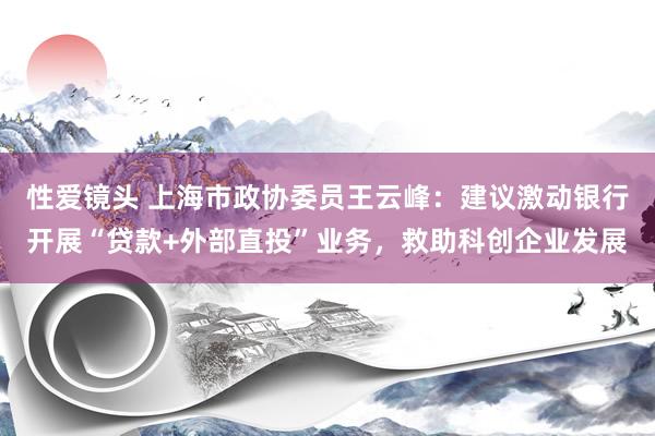 性爱镜头 上海市政协委员王云峰：建议激动银行开展“贷款+外部直投”业务，救助科创企业发展