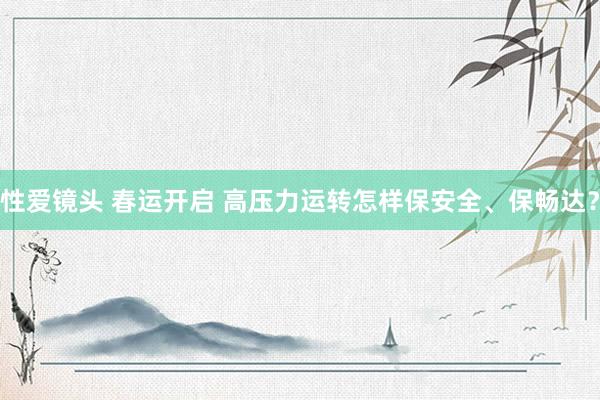 性爱镜头 春运开启 高压力运转怎样保安全、保畅达？
