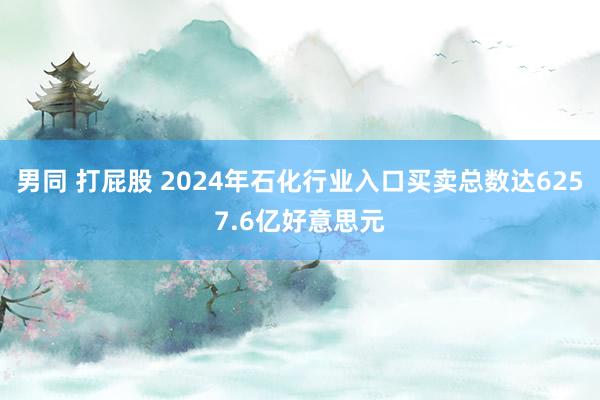 男同 打屁股 2024年石化行业入口买卖总数达6257.6亿好意思元