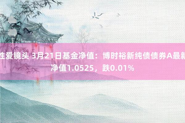 性爱镜头 3月21日基金净值：博时裕新纯债债券A最新净值1.0525，跌0.01%