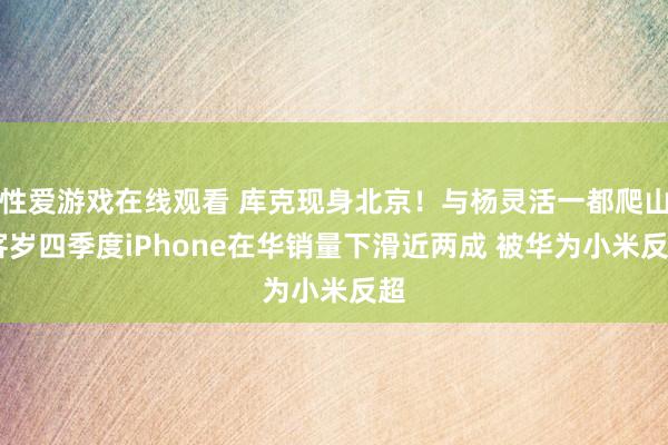 性爱游戏在线观看 库克现身北京！与杨灵活一都爬山 客岁四季度iPhone在华销量下滑近两成 被华为小米反超