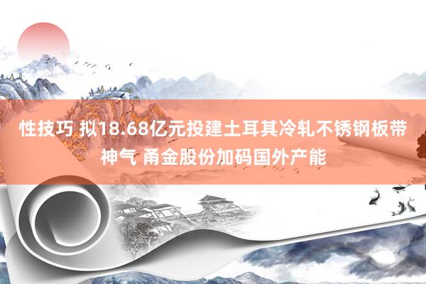 性技巧 拟18.68亿元投建土耳其冷轧不锈钢板带神气 甬金股份加码国外产能