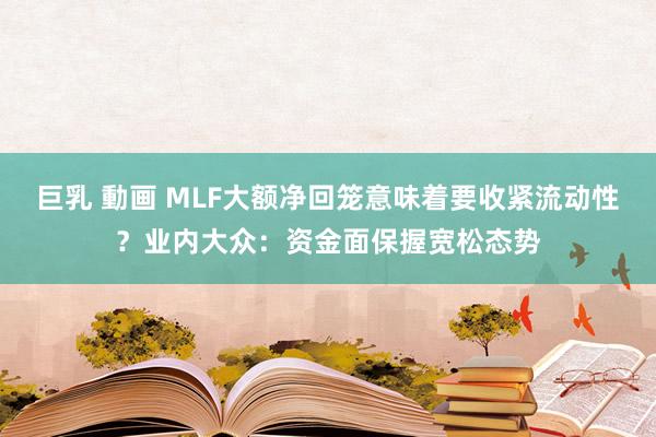 巨乳 動画 MLF大额净回笼意味着要收紧流动性？业内大众：资金面保握宽松态势