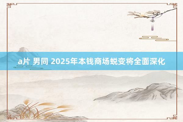 a片 男同 2025年本钱商场蜕变将全面深化
