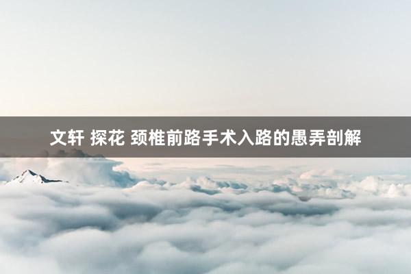 文轩 探花 颈椎前路手术入路的愚弄剖解
