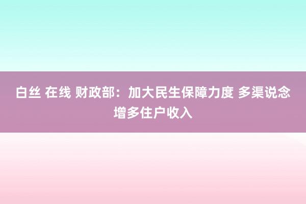 白丝 在线 财政部：加大民生保障力度 多渠说念增多住户收入