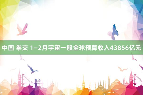 中国 拳交 1—2月宇宙一般全球预算收入43856亿元